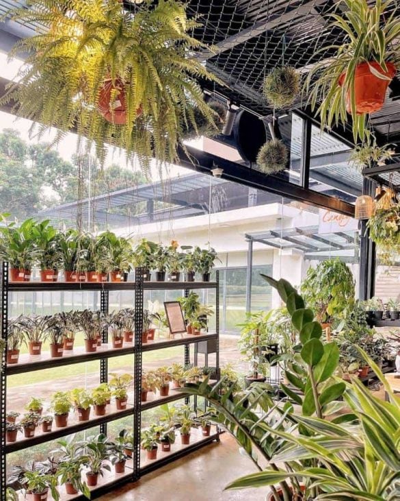 Canopy HortPark is the perfect spot for brunches and doggy playdates