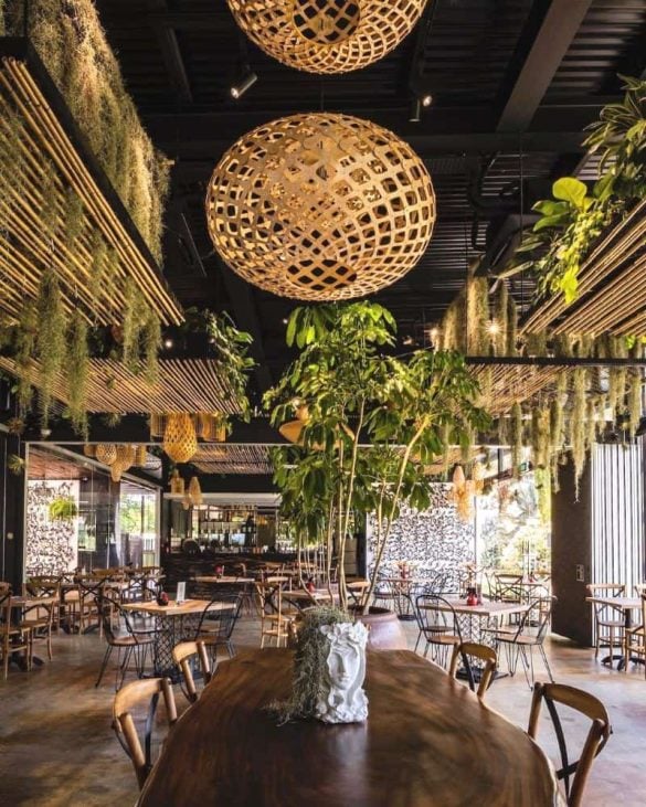 Canopy HortPark is the perfect spot for brunches and doggy playdates