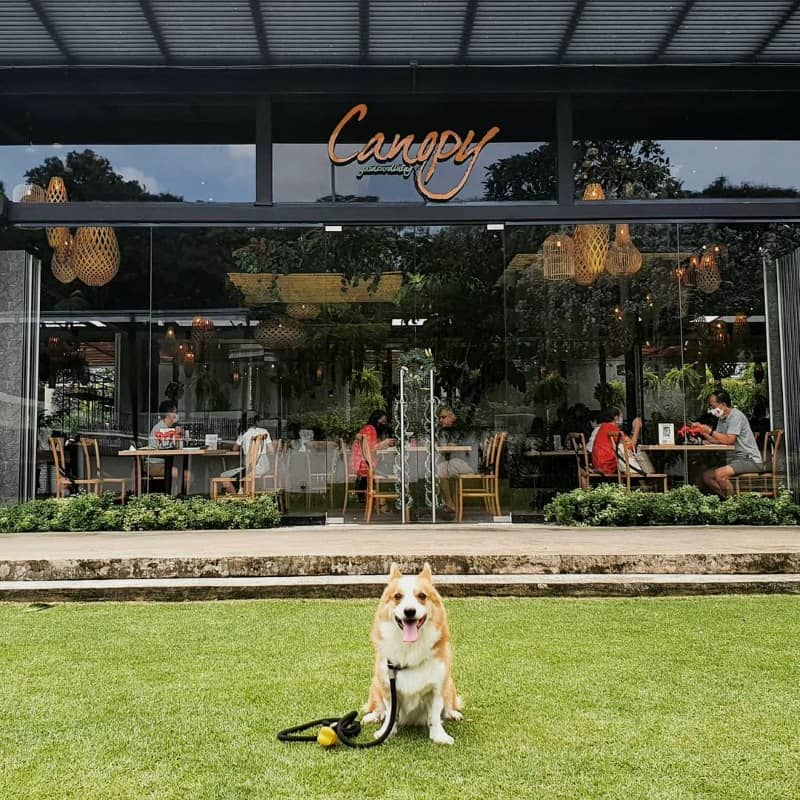 Canopy HortPark dog-friendly cafe singapore