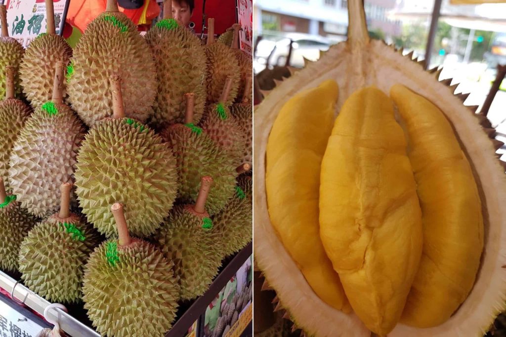 durian 2021 - combat durian