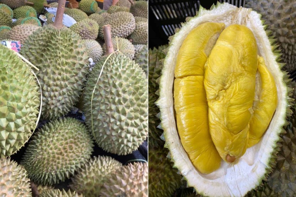 durian 2021 singapore - durian baby