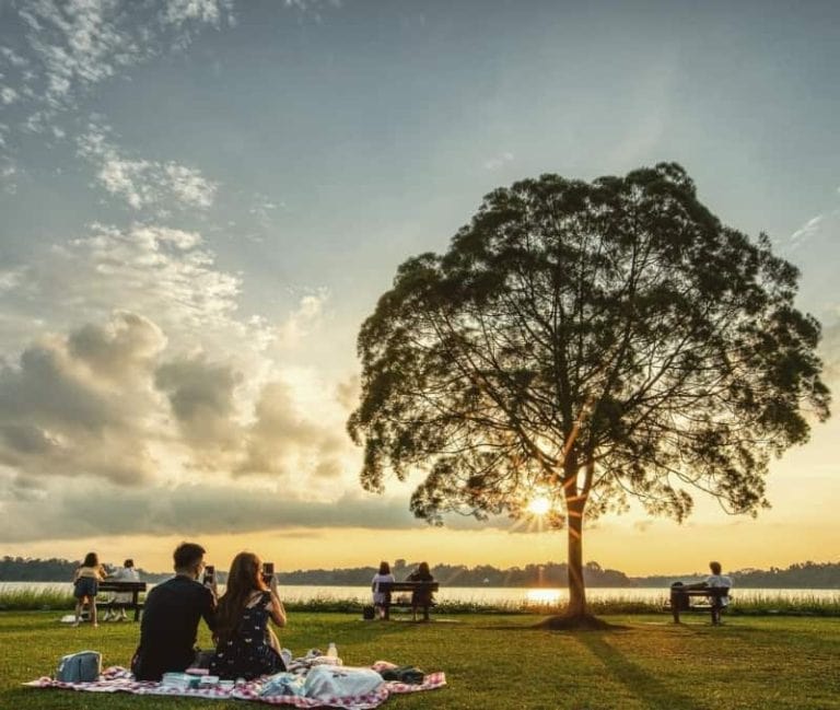 21 scenic Picnic Spots in Singapore for a charming picnic with a view