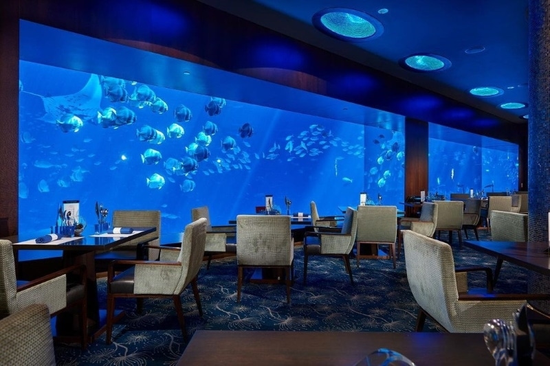 ocean restaurant high tea in the deep sea