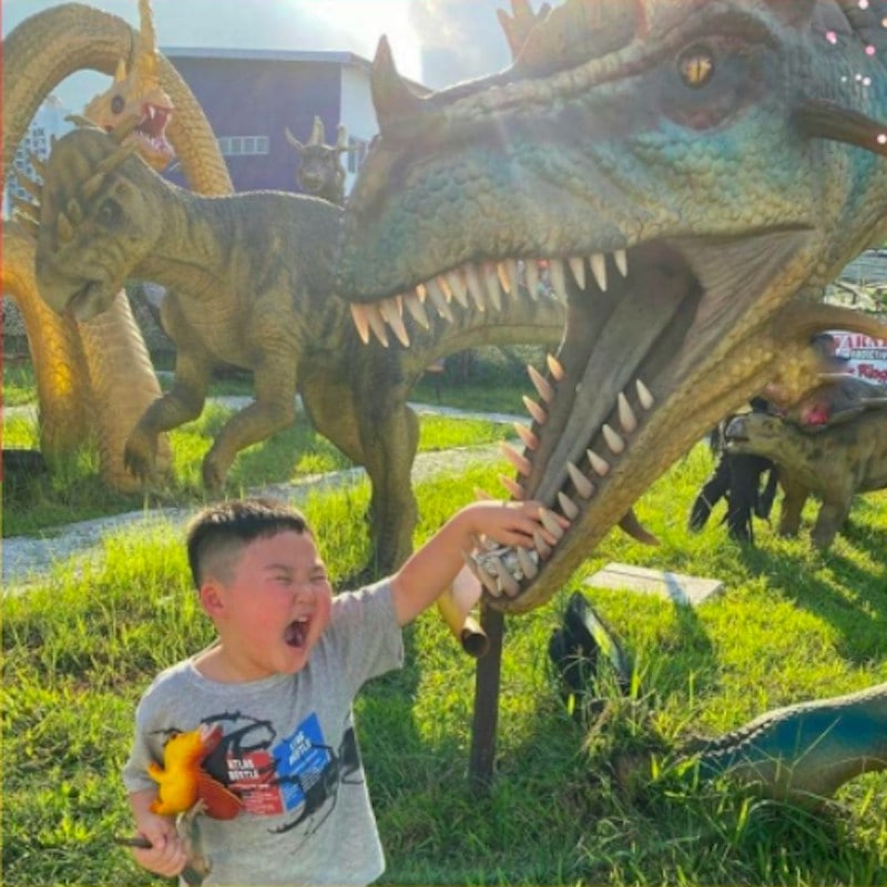 Uncle Ringo Dinosaur Park