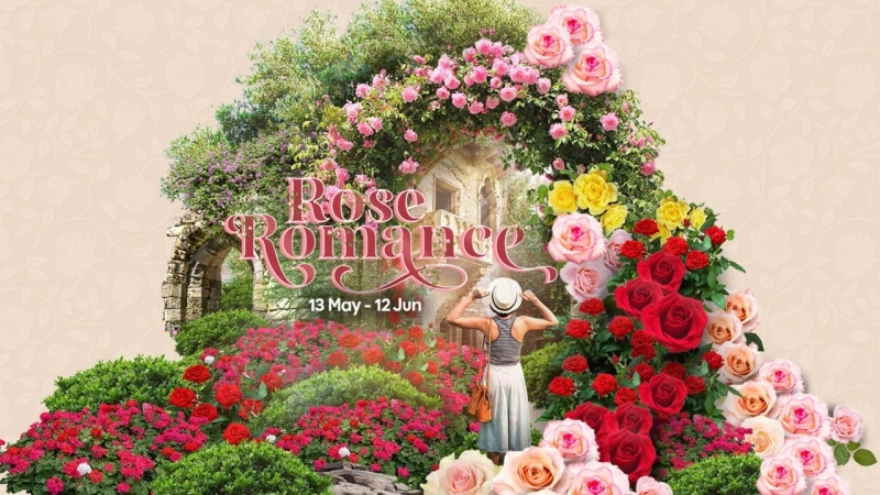 rose romance