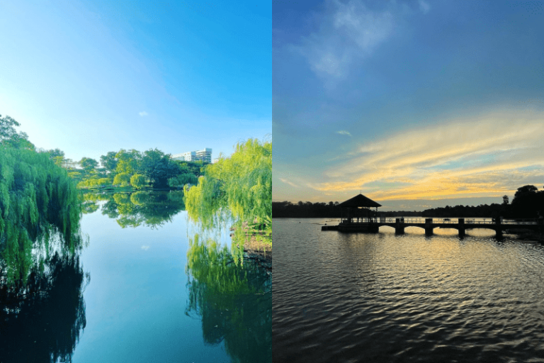 21 scenic Picnic Spots in Singapore for a charming picnic with a view