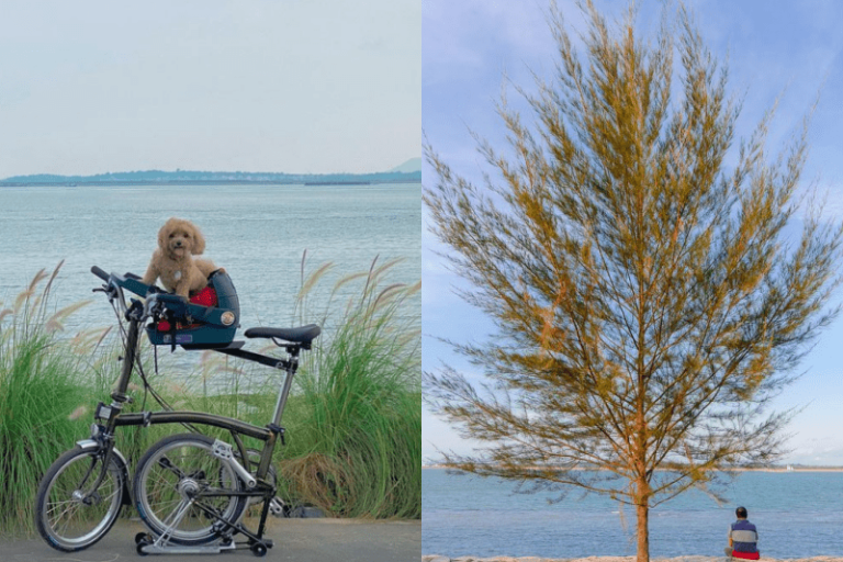 21 scenic picnic spots in Singapore for a charming picnic with a view