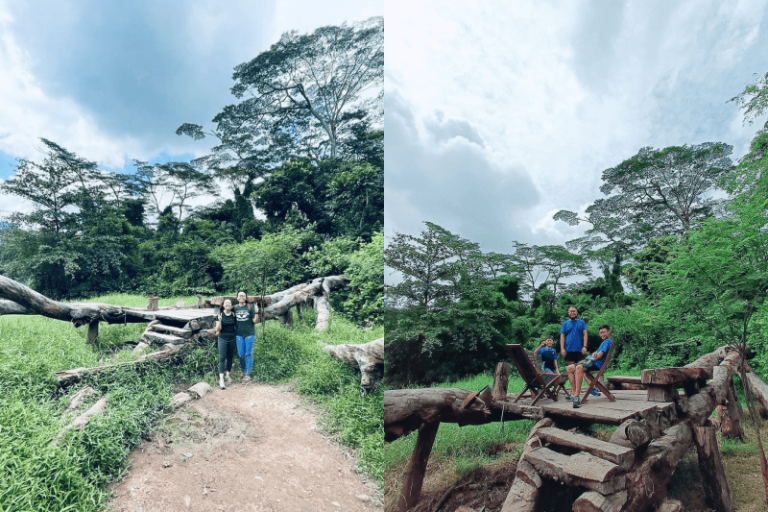 21 scenic Picnic Spots in Singapore for a charming picnic with a view