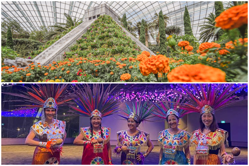 gardens by the bay's hanging gardens floral roots