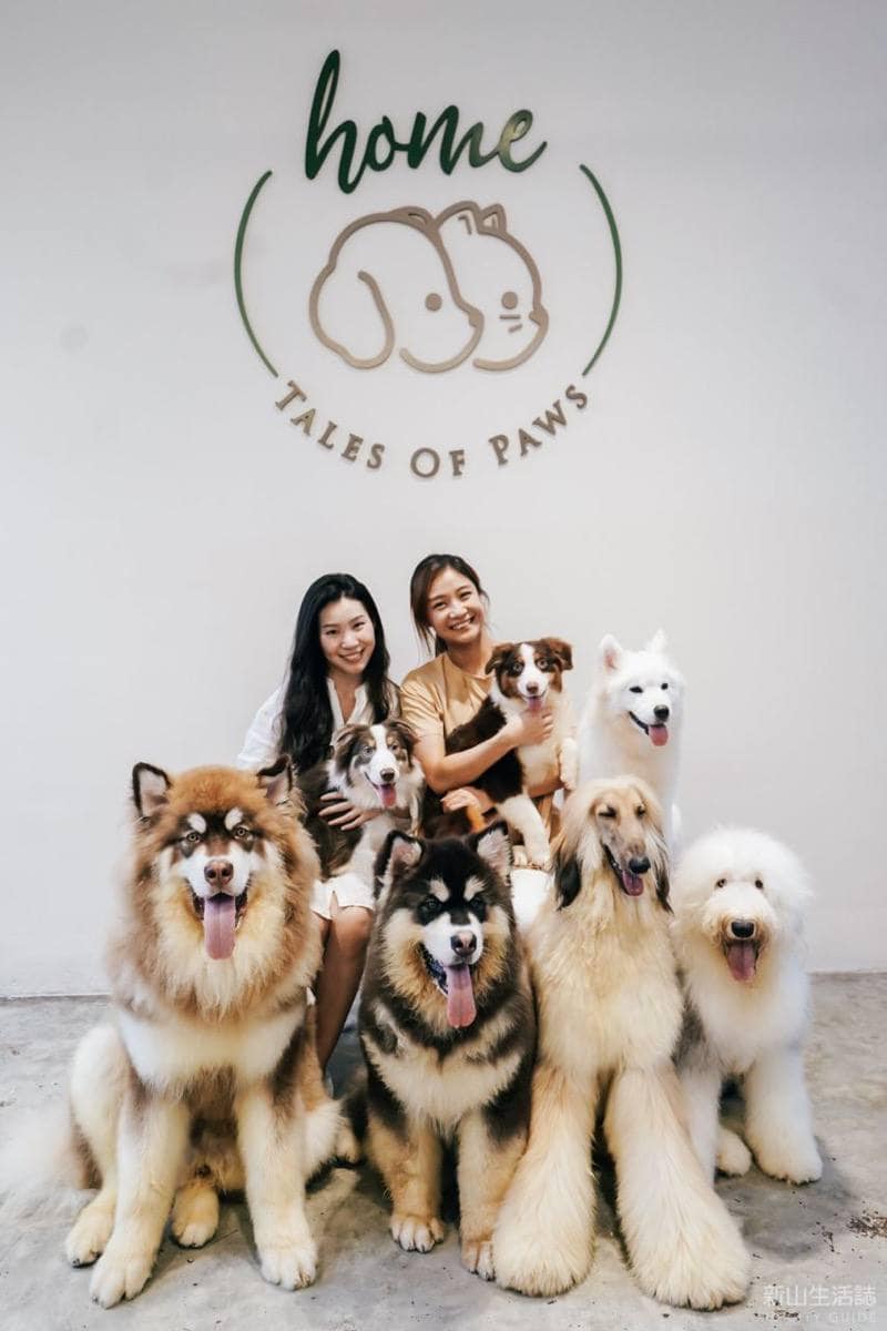 HOME by Tales of Paws Dog and Cat Cafe JB