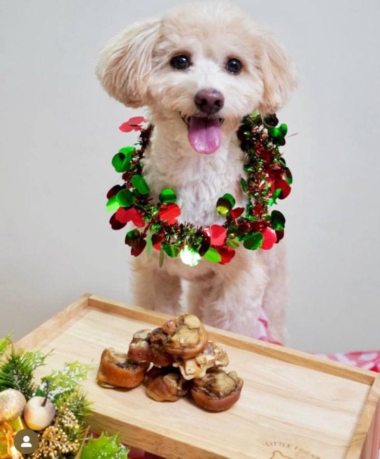 Picture of The Dog Treat Bar has organic dog treats hidden in a supermarket