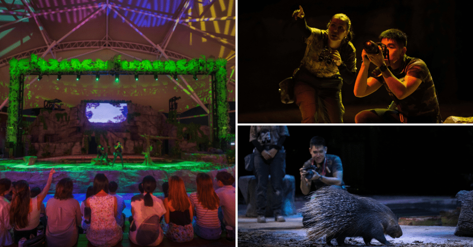 Night Safari dazzles with a revamped Creatures of the Night Show