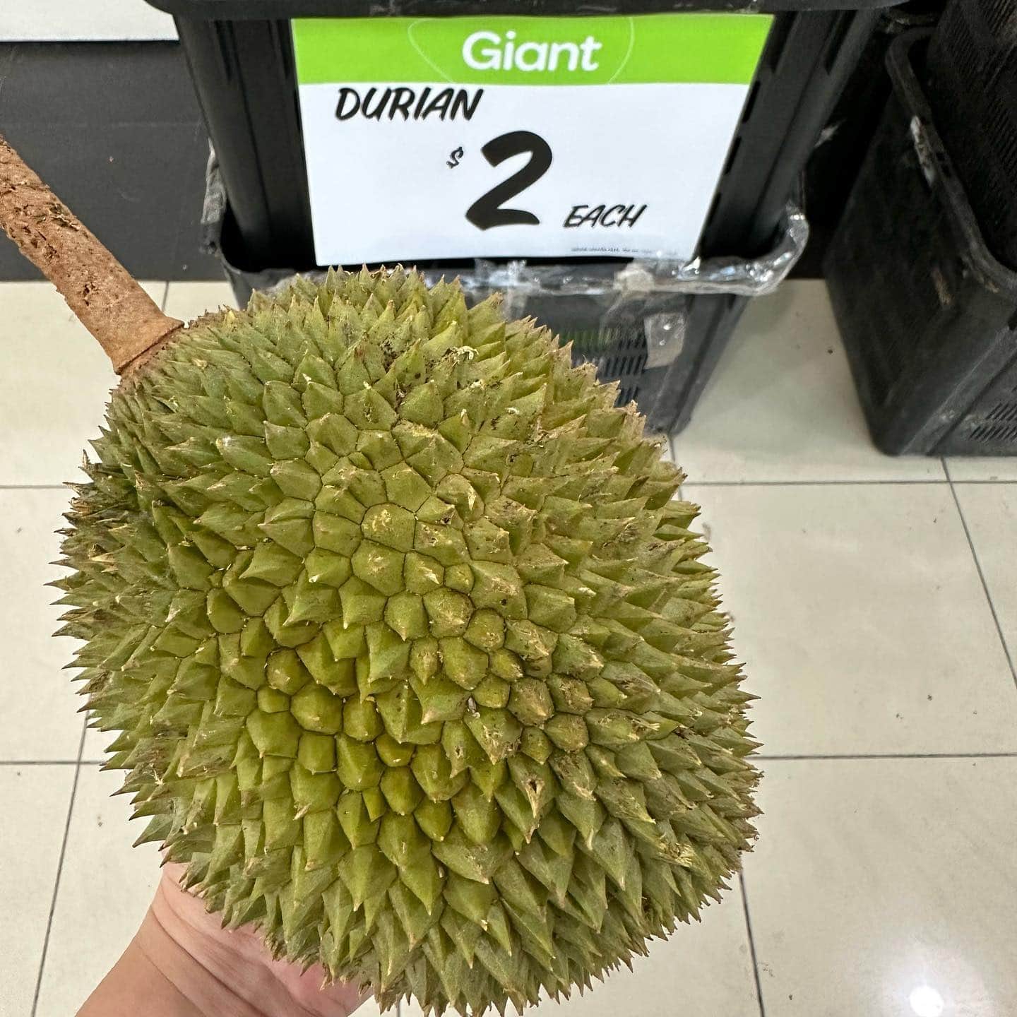 giant durian buffet