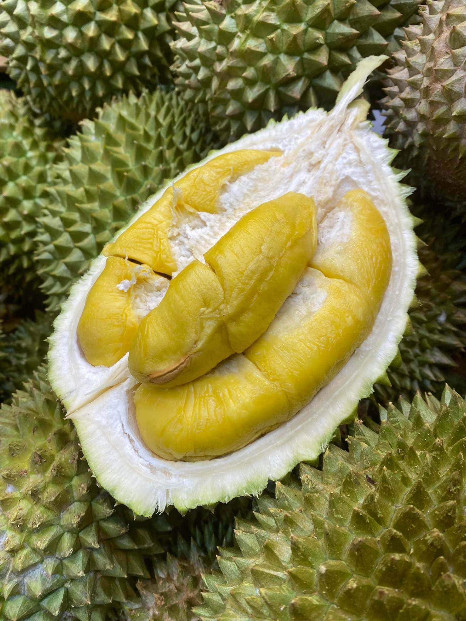 durians