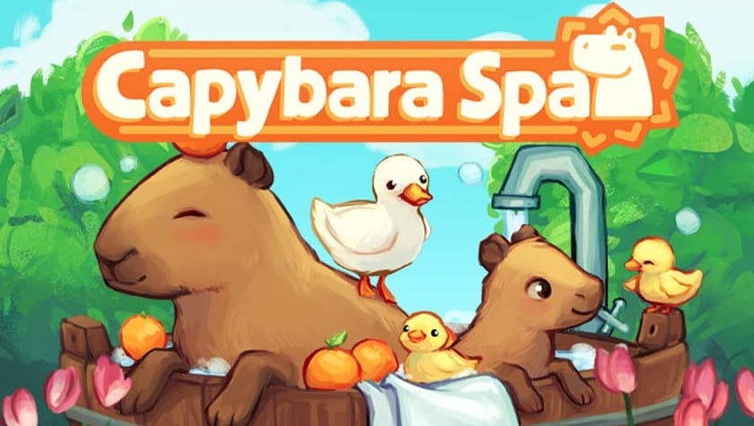 YARN, Hi, my name is Claira the capybara
