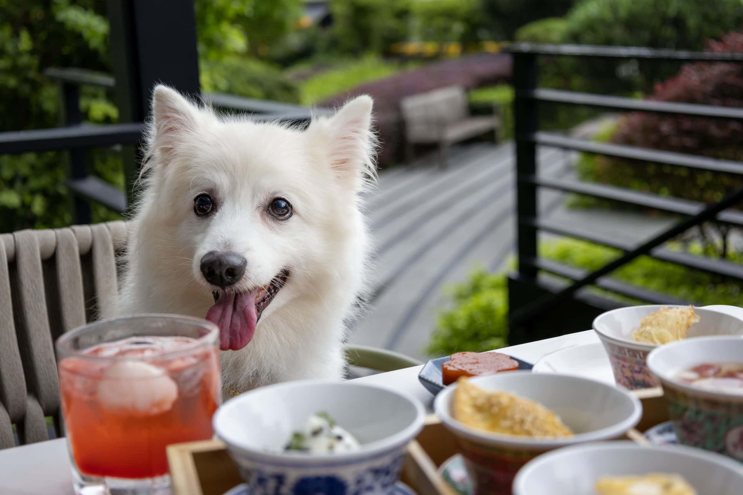 Si Chuan Dou Hua High Tea