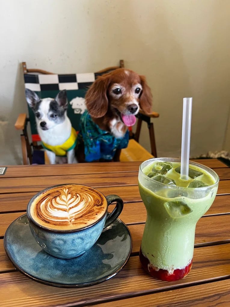 TO:YOU Cafe