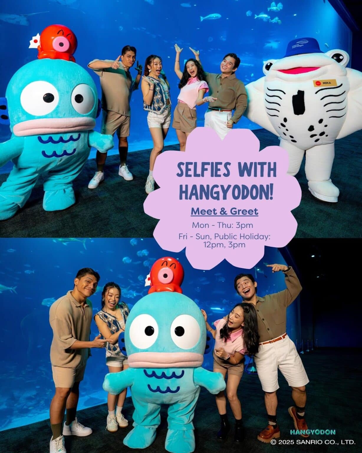 Catch Hangyodon At The Singapore Oceanarium catch-hangyodon-at-the-singapore-oceanarium
