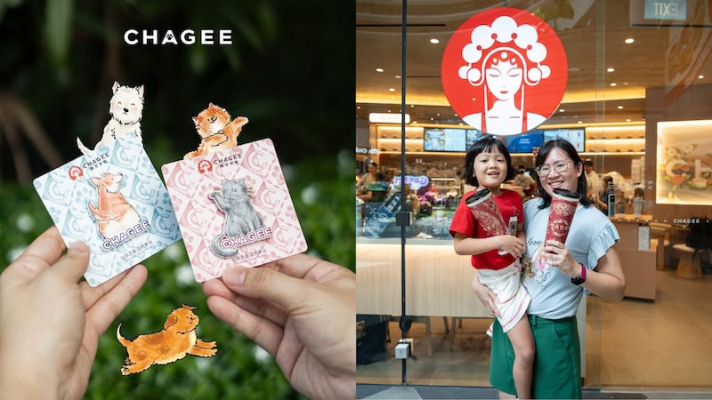Things to do this Weekend - Chagee Pet Adventure Camp