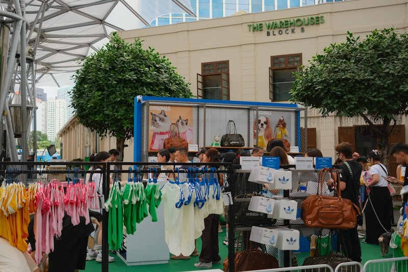 FurKids Fiesta