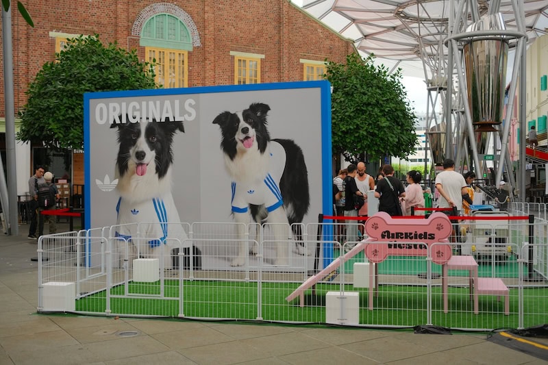FurKids Fiesta