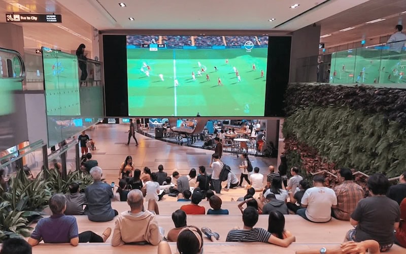 World Cup 2026 guide