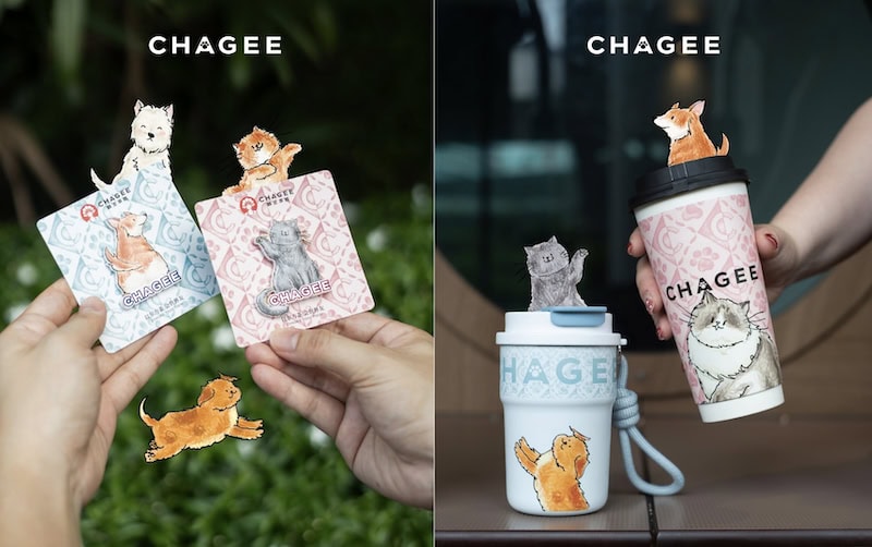 CHAGEE Pet Adventure Camp - Mandarin Gallery