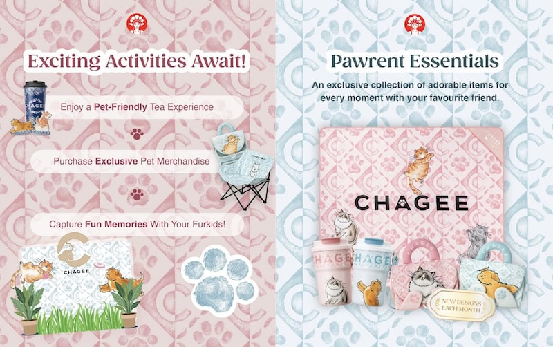 CHAGEE Pet Adventure Camp - Tea Experience