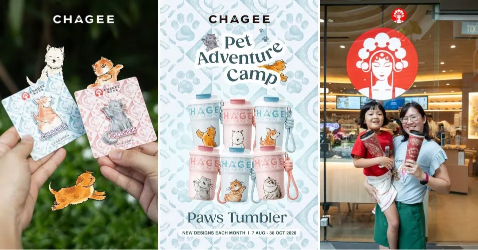 CHAGEE Pet Adventure Camp - featured image