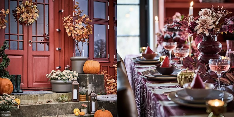 IKEA university - autumn collection