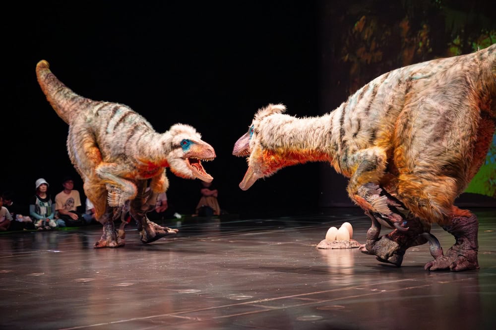 Dinosaur Odyssey - live show