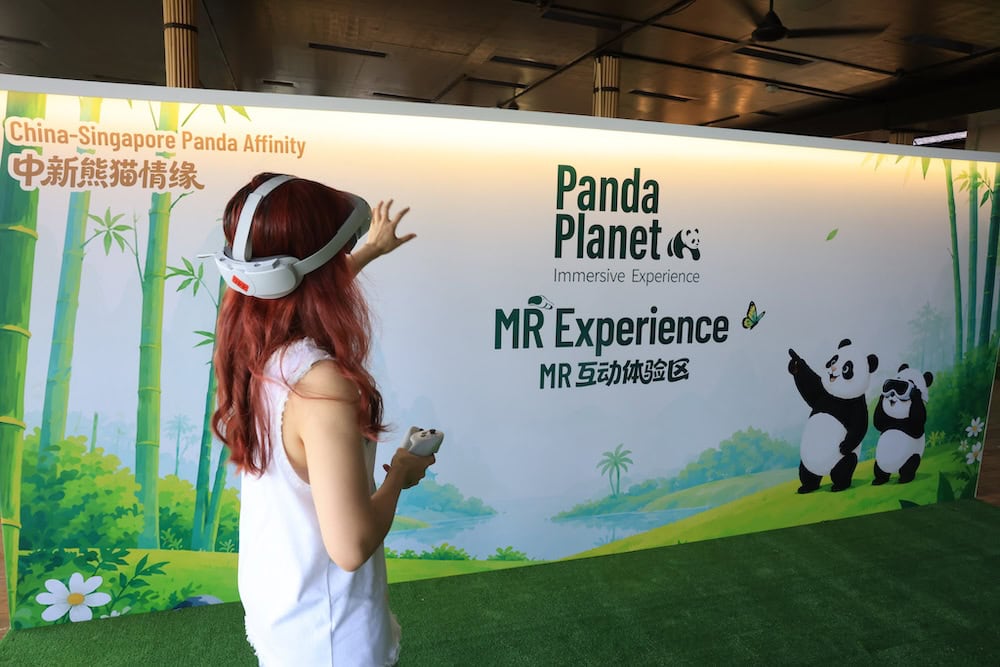Panda Planet Immersive Experience - MR Experience