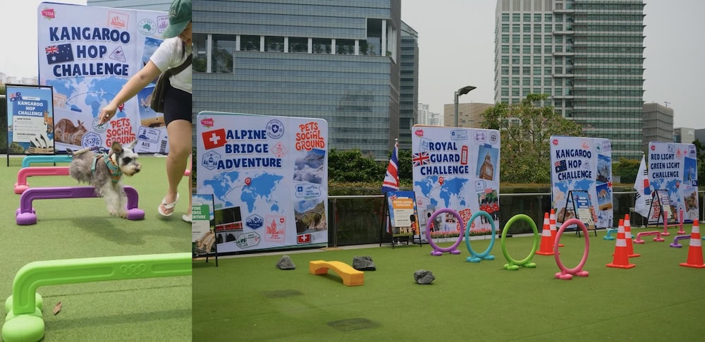 Pets Social Ground - Around the World Challenge