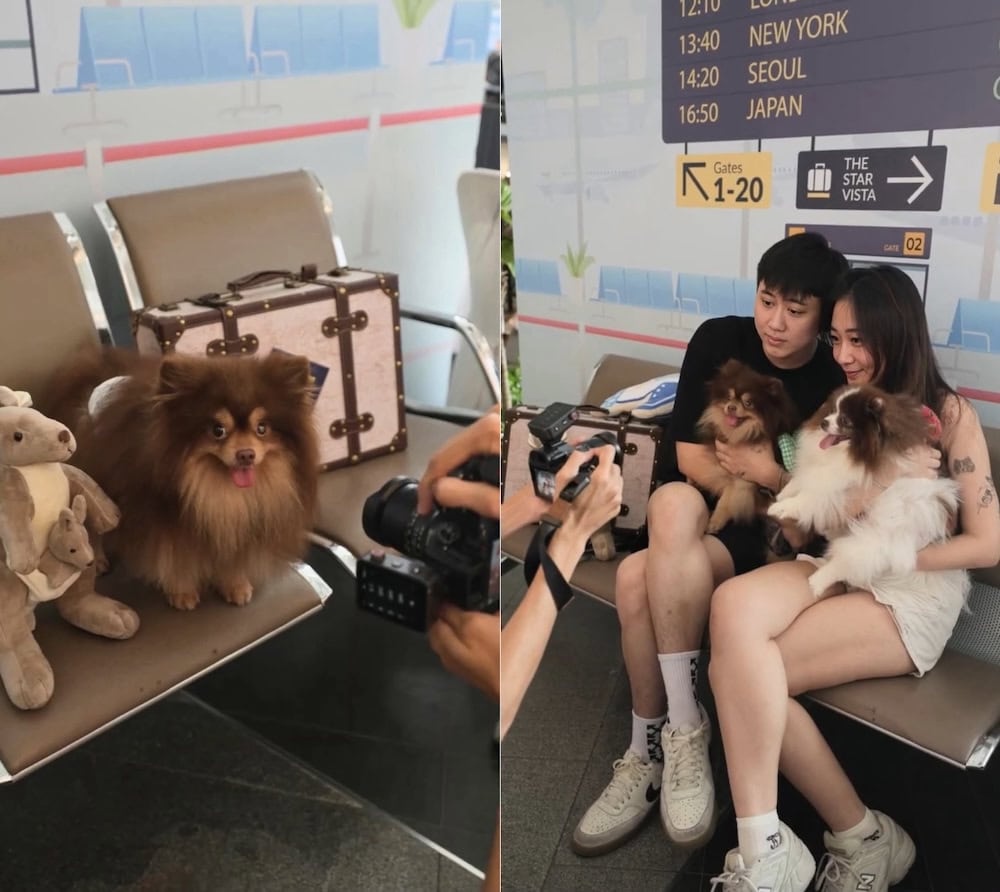 Pets Social Ground - Photobooth