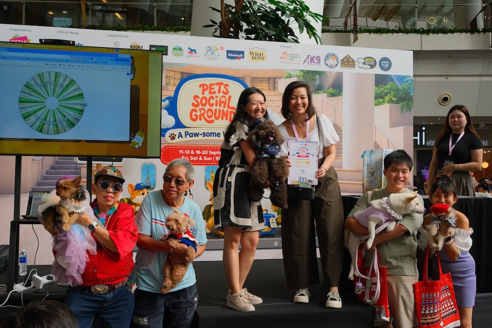 Pets Social Ground - contests