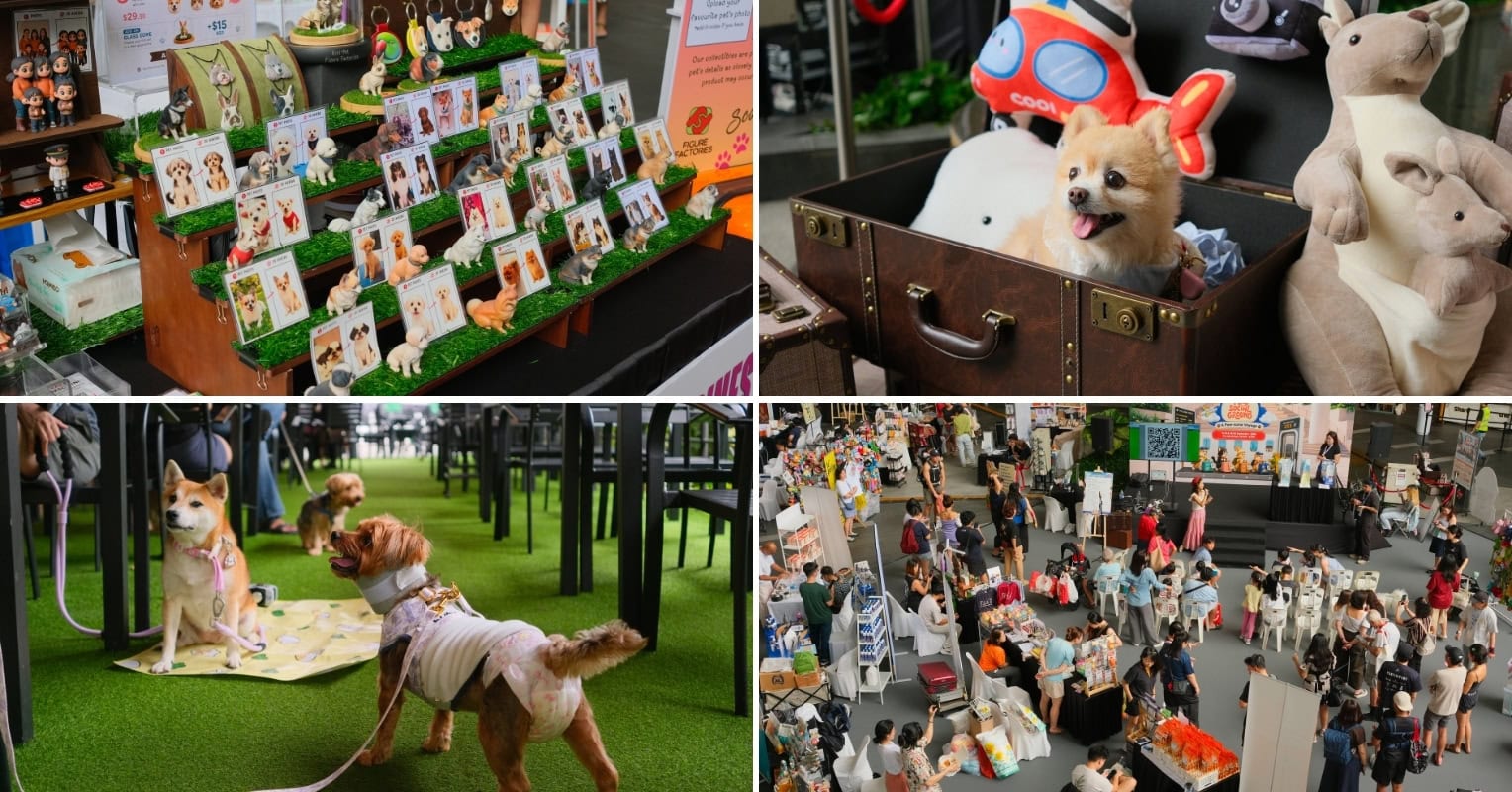 Pets Social Ground - featured image