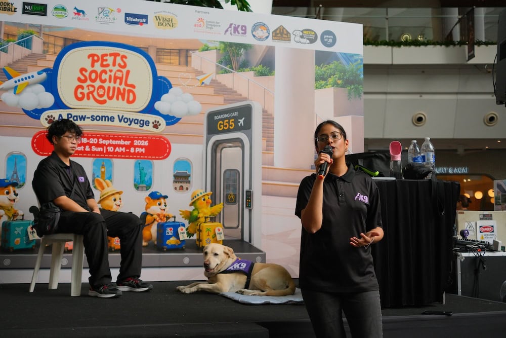 Pets Social Ground - talks