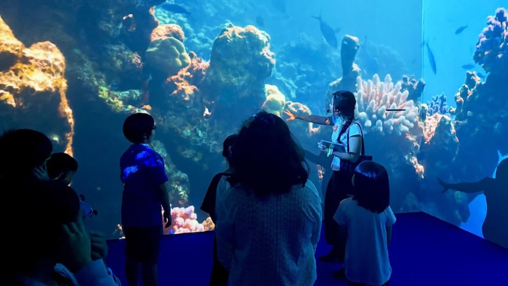 September holidays 2026 - Into the Ocean Kids Tour