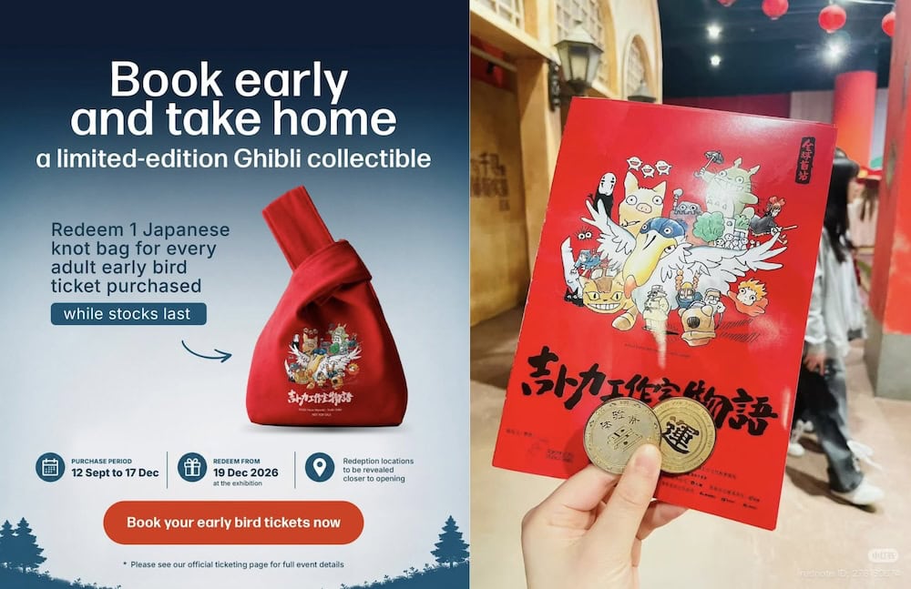 The Story of Studio Ghibli Singapore - collectable