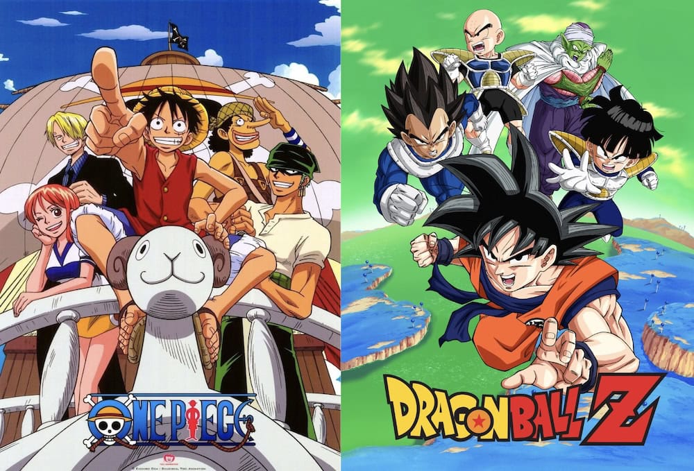 Toei Animation Store Singapore - One Piece Dragon Ball