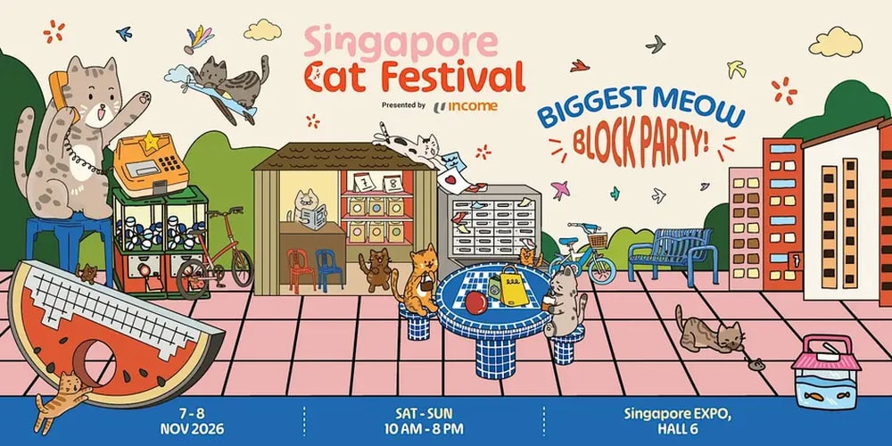 Things to do November 2026 - Cat Festival