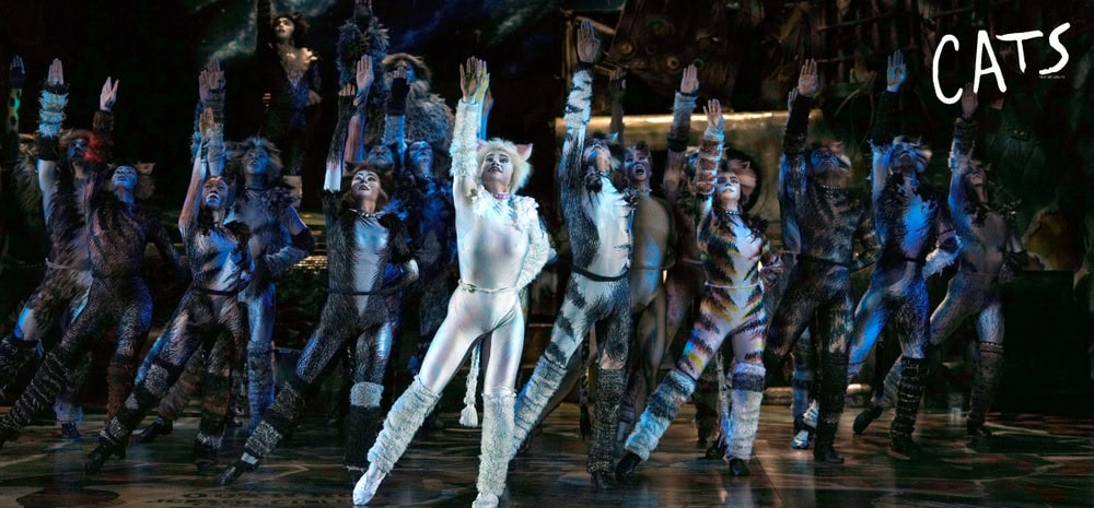 Things to do November 2026 - Cats