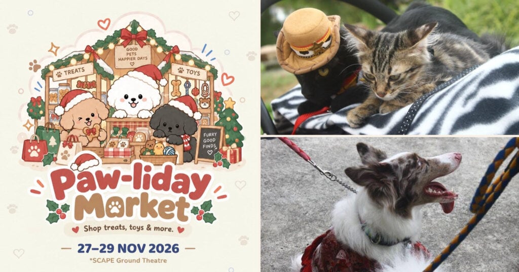 Things to do November 2026 - PawFest SG