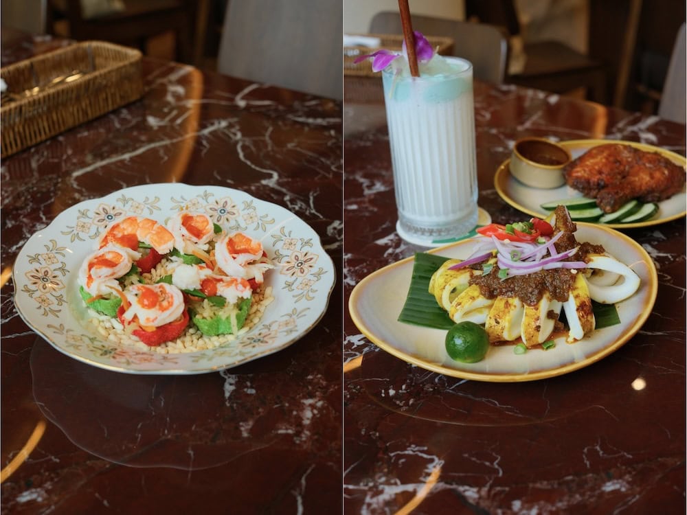 Wild Coco Jewel - starters
